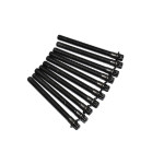 Śruby głowicy BMW E32 E34 E39 E53 X5 E38 530i 535i 540i M5 740i 735i 730i M60 M62 - 11127583115