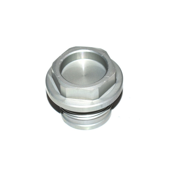Śruba zamykająca srebrna BMW K42 K46 K47 K49 HP4 S100 - 11318534849
