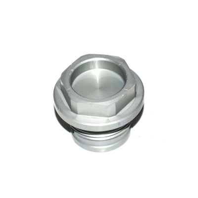 Śruba zamykająca srebrna BMW K42 K46 K47 K49 HP4 S100 - 11318534849