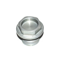 Śruba zamykająca srebrna BMW K42 K46 K47 K49 HP4 S100 - 11318534849
