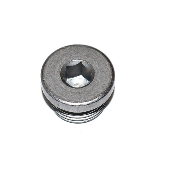 Śruba zamykająca BMW E12 E24 E26 E30 E31 E32 E36 E38 E39 E53 E60 E61 E63 E64 E65 E66 E70 E71 E72 F01 F02 F04 F06 F07 F10 F11 F12