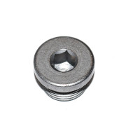 Śruba zamykająca BMW E12 E24 E26 E30 E31 E32 E36 E38 E39 E53 E60 E61 E63 E64 E65 E66 E70 E71 E72 F01 F02 F04 F06 F07 F10 F11 F12