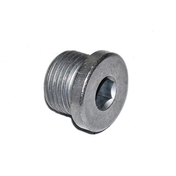 Śruba zamykająca BMW E12 E24 E26 E30 E31 E32 E36 E38 E39 E53 E60 E61 E63 E64 E65 E66 E70 E71 E72 F01 F02 F04 F06 F07 F10 F11 F12