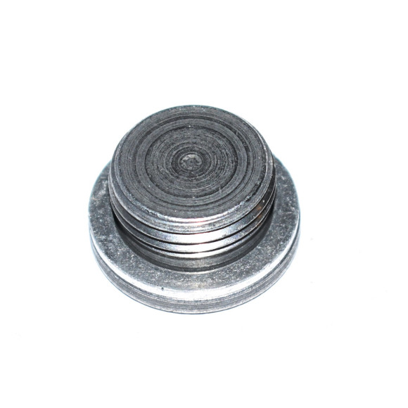 Śruba głowicy cylindrów BMW E46 E60 E64 E65  E70 E E83 E90 F01 F02 F07 F10 F15 F20 - 11317502048