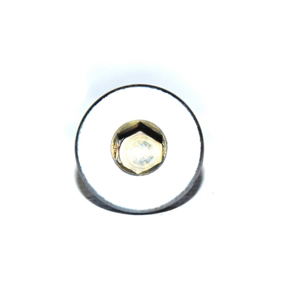 Śruba głowicy cylindrów BMW E46 E60 E64 E65  E70 E E83 E90 F01 F02 F07 F10 F15 F20 - 11317502048