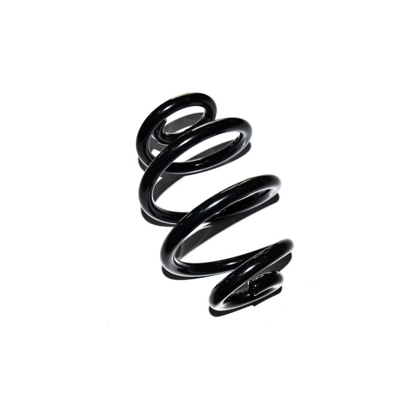 Sprężyny tył BMW E46 sedan coupe 316 318 320 323 325 328 330 - 33531094740