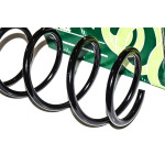 Sprężyna zawieszenia przód BMW E60 E61 525d 530d - 31336761214