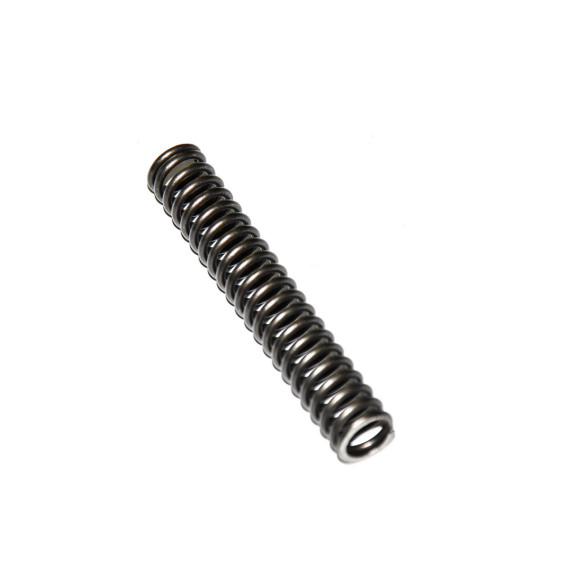 Sprężyna napinacza łańcucha rozrządu BMW E30 E34 E36 E38 E39 E46 E53 E60 E65 E83 Z3 Z4 - 11411706809