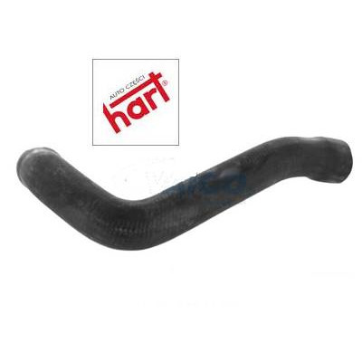 Przewód układu chłodzenia BMW E36 316i 318i M40 M43 - 11531727448