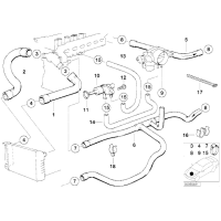Przewód układu chłodzenia BMW E36 M50 M52 320 323 325 328 - 11531730928