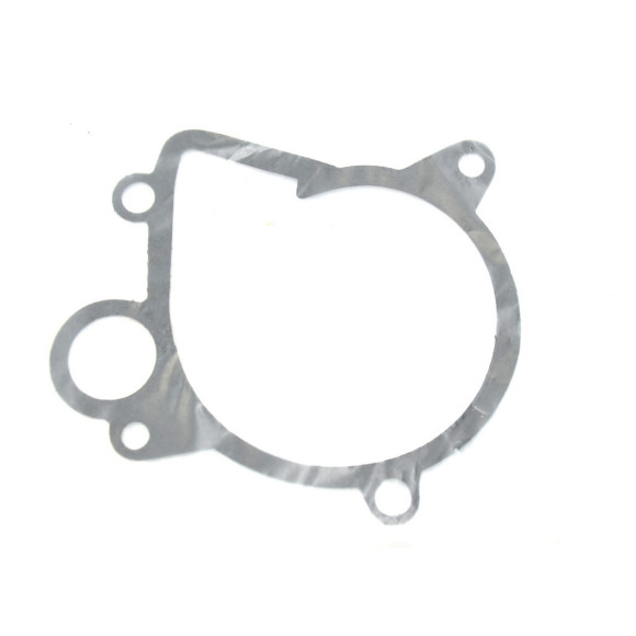 Pompa wody BMW E46 318d 320d M47 - 11510393731