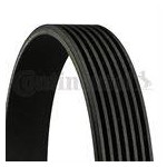 Pasek wielorowkowy BMW E65 740d 745d - 11287796396