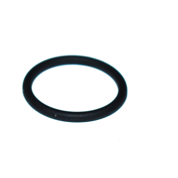 Oring BMW E38 E39 E53 X5 735i 740i 4,4i 4,6is 535i 740i - 11121706927