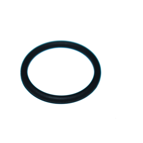 Oring BMW E38 E39 E53 X5 735i 740i 4,4i 4,6is 535i 740i - 11121706927