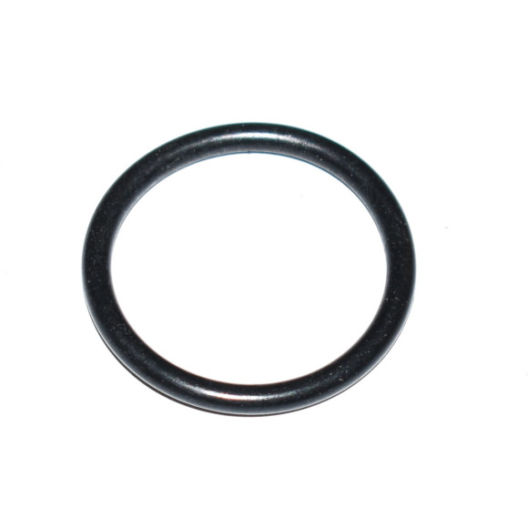 O-Ring czujnika BMW E30 E31 E32 E34 E36 E38 R22 R28 - 12141727220