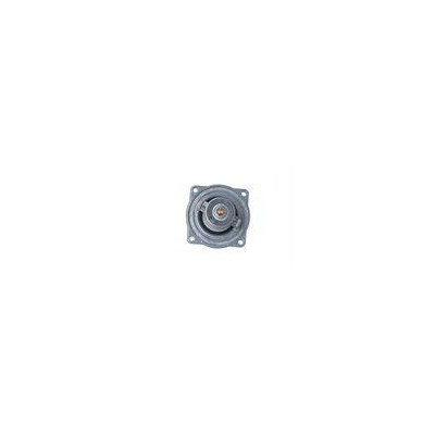 TERMOSTAT BMW 105C 5 96-