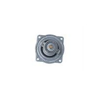 TERMOSTAT BMW 105C 5 96-