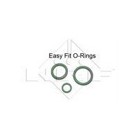 SKRAPLACZ KLIMATYZACJI BMW E39