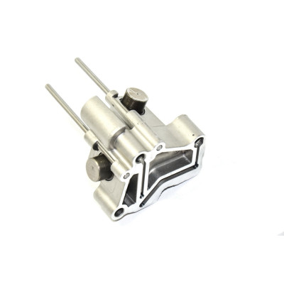 Napinacz łańcucha BMW E46 E39 E38 X5 E53 330d 525d 530d 730d 3,0d M57 - 13522247644