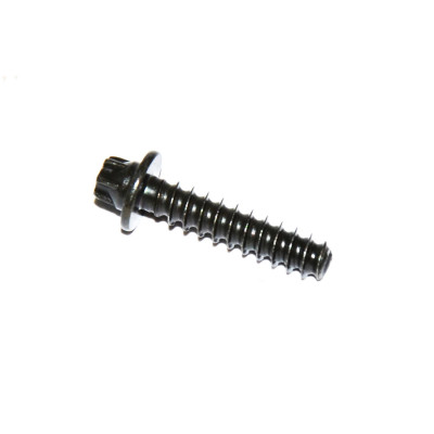 Śruba przepływomierza BMW E38 E39 E46 E53 X5 E60 E61 E70 E71 X6 E83 X3 E90 E91 M57 - 11127790984