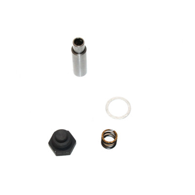 Komplet napinacza łańcucha BMW K70 K71 K72 K73 K75 F700 F800 GS GT ST S R - 11318531009