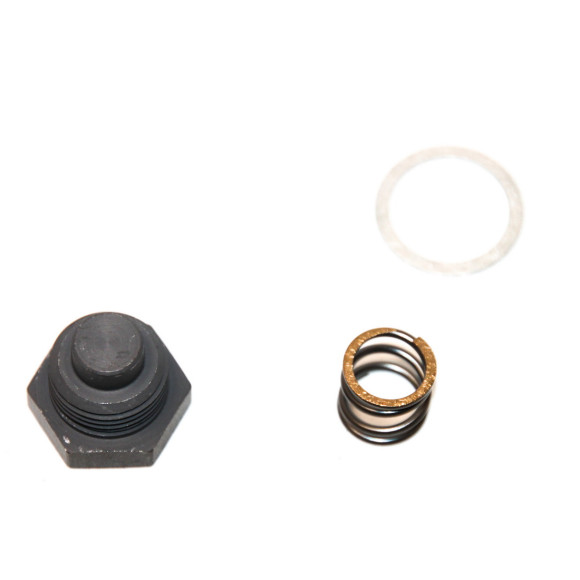 Komplet napinacza łańcucha BMW K70 K71 K72 K73 K75 F700 F800 GS GT ST S R - 11318531009