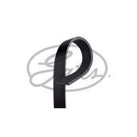 PASEK WIELOROWKOWY 7PK1035