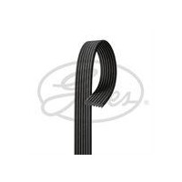 PASEK WIELOROWKOWY 7DPK1697