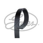 PASEK WIELOROWKOWY 6PK1605