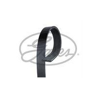 PASEK WIELOROWKOWY 6PK1555