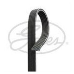 PASEK WIELOROWKOWY 6DPK1698