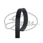 PASEK WIELOROWKOWY 5PK1123