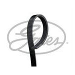 PASEK WIELOROWKOWY 4PK860