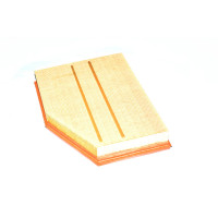 Filtr powietrza E60 E61 520i 523i 525i 530i 530xi E63 630i M54 N52 N53 - 13717521033