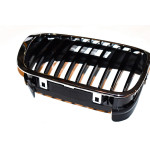 Nerka atrapa BMW prawa  BMW E46 316 318 320 323 325 328 330 prod. do 09/2001 - 51138208490