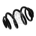 SPRĘŻYNA ZAW. BMW T. E46 98-06