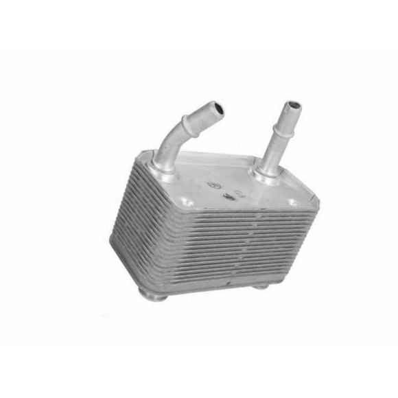 Chłodnica oleju BMW E53 X5 3,0d 3,0i 4,4i 4,6is M62 - 17207500754