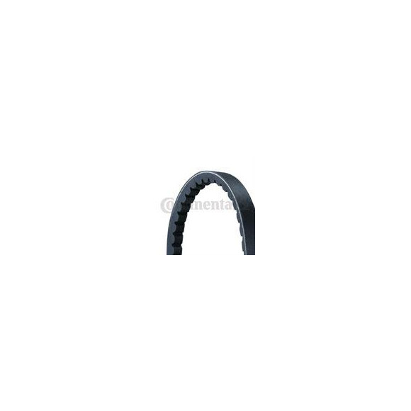 PASEK KLINOWY AVX13*1040