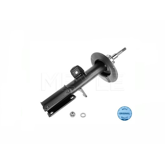 Amortyzator przód lewy BMW E53 X5 3,0d 3,0i 4,4i 4,6is - 31316764599