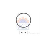 Uszczelka, termostat