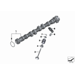 11340033950 Uszczelniacze zaworowe BMW F20 F21 F30 F31 MINI R55 R56 R57 R58 R59 R60 114i 116i 118i 316i 320i - 11340033950 - Części oryginalne BMW Łódź | Sklep internetowy BMW