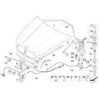Siłownik amortyzator maski przód BMW E70 E71 X5 X6 30dX 35dX 35iX 40dX 40iX 50iX M50dX - 51237148346