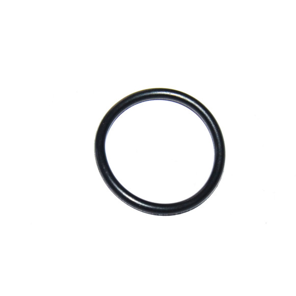 O-ring uszczelka elektrozaworu Vanosa BMW E46 E60 E81 E83 E84 X3 X1 E87 E90 E92 N45 N46 N40 N42 - 11367506178
