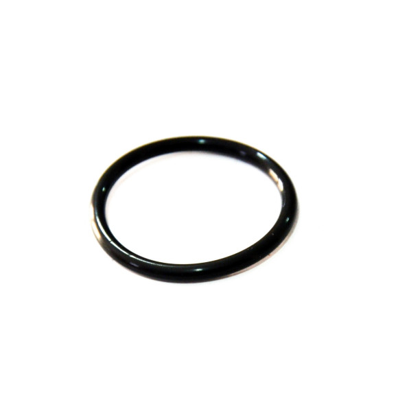 O-Ring rurki świecy zapłonowej BMW E46 E60 E81 E83 E87 E90 E91 E92 320i 318i 118i 120i 316i 520i N46N N42 N46 - 11377514007