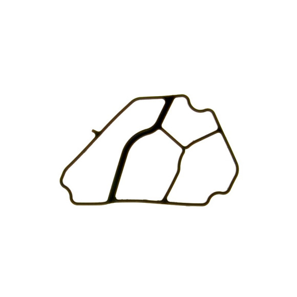 Uszczelka magistrali podstawy filtra oleju BMW E46 E60 E61 E83 E87 E90 E91 318d 320d 118d 120d 2,0d 520d M47N2 - 11427787695