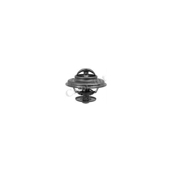 TERMOSTAT BMW 80C M20/50