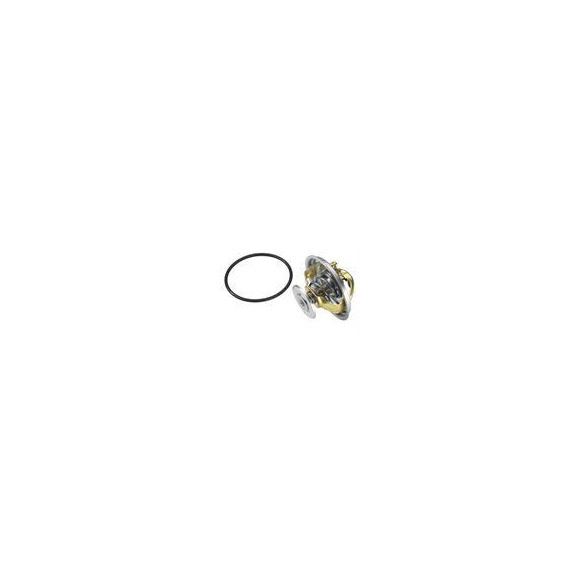 TERMOSTAT BMW 70C