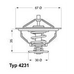 TERMOSTAT BMW 80C