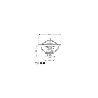 TERMOSTAT BMW 80C