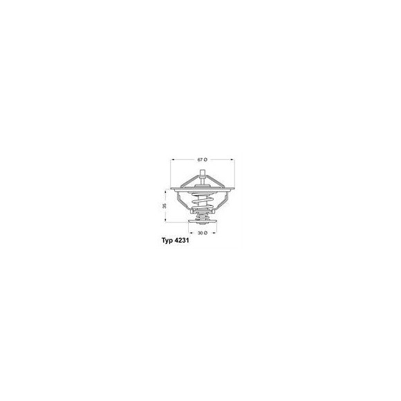 TERMOSTAT BMW 80C